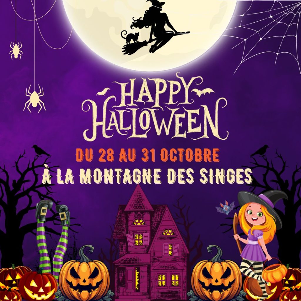 (FR) Plongez dans la magie d’Halloween !