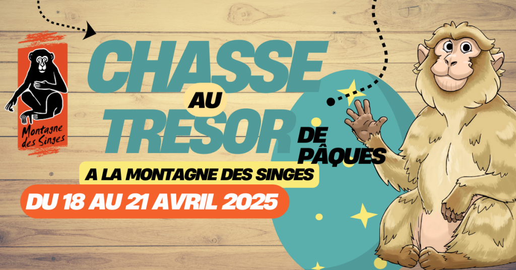 🐵🥚 Chasse au Trésor de Pâques